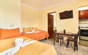 Excelente Apartamento 1 Habitacion Ideal para 3  RD$1,799