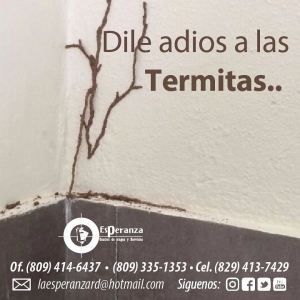 Dile adiós a las Termitas