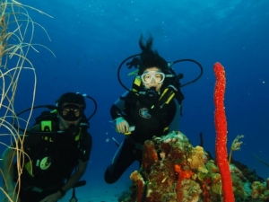 buceo punta cana