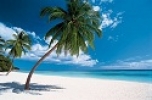 Dominican Republic Luxury Real Estate
