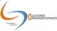 Consultoria Empresarial Soluciones Organizacionales S-ORG