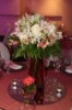 Evenmar-eventos y decoraciones