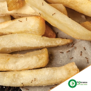 ¿Tu comida se llena de hormigas con facilidad?