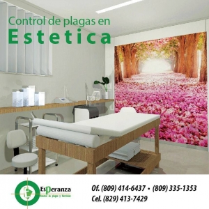 Control de plagas en Steticas