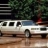 Caribbean Limousine